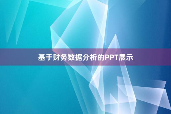 基于财务数据分析的PPT展示
