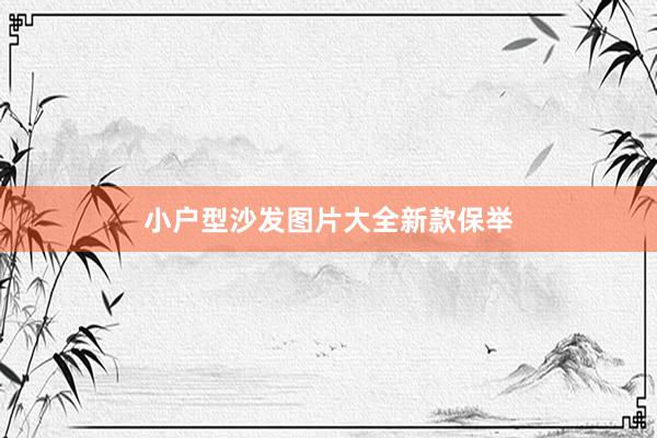 小户型沙发图片大全新款保举