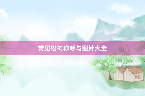 常见松树称呼与图片大全